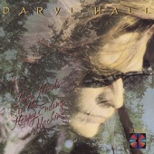 Daryl Hall - Someone Like You