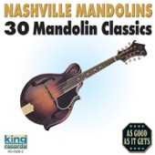30 Mandolin Classics artwork