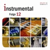 Instrumental - Folge 12, 2012