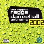 The Biggest Ragga Dancehall Anthems 2002 artwork