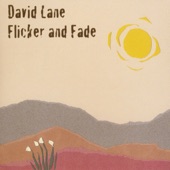 David Lane - Pale Yellow Flowers