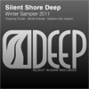 Winter Sampler 2011 - Single