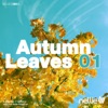 Nellie's Autumn Leaves 01