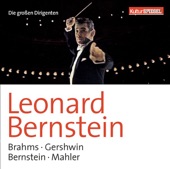 Leonard Bernstein & Bedřich Smetana - Symphony No. 9: Schattenhaft