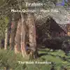 Brahms: Piano Quintet and Horn Trio album lyrics, reviews, download