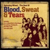 Blood, Sweat & Tears - I Love You More Than Ever