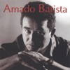 Amado Batista, 1992