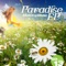 Paradise (Original Mix) - MidiDropMusic lyrics