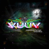 VuuV Festival - 20th anniversary compilation artwork