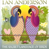 The Secret Language of Birds artwork