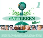 Evergreen Hitovi 1, 2008