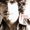 Jonas - Edge Of Seventeen