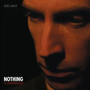 Album herunterladen Joe Lally - Nothing Is Underrated