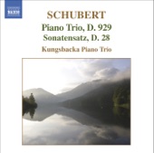 Schubert: Piano Trio No. 2 in E Flat Major - Sonatensatz artwork