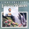 Living Waters, 2008