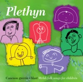 Plethyn - Ton, Ton, Ton!