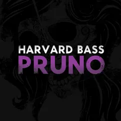 Pruno - EP by Harvard Bass album reviews, ratings, credits