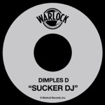 SUCKER DJ (12INCH VERSION)