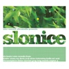 Slonice - Slow Beats and Nice Sounds