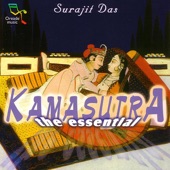 Kamasutra artwork