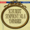 Slovanian Symphony Orchestra - Symphony No. 8 'Unfinished': II. Andante con Moto in E Major