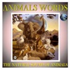 The Natural Sound of Animals