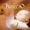 Proteção artwork