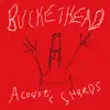 Acoustic Shards album lyrics, reviews, download