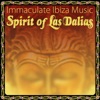 Spirit of las Dalias