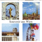 Souvenir aus Wien artwork