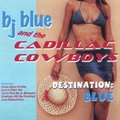 BJ Blue and the Cadillac Cowboys - Somebody Must've Been Cheatin' On Hank