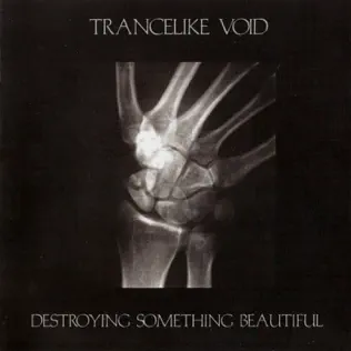 baixar álbum Trancelike Void - Destroying Something Beautiful