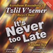 It's Never Too Late, Vol. 6 artwork