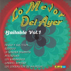Lo Mejor del Ayer Bailable, Vol. 1