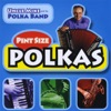 Pint Size Polkas, Vol. One