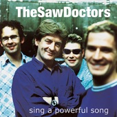 The Saw Doctors - Green and Red of Mayo