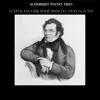 Schubert: Piano Trio, D. 929 & Fantaisie pour piano et violon, D. 934 album lyrics, reviews, download