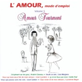 L'amour mode d'emploi, Vol. 5 : Amour tourment artwork