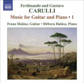Duo In D Major, Op. 134: II. Rondo: Poco Allegretto artwork