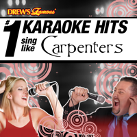 The Karaoke Crew - Drew's Famous # 1 Karaoke Hits: Sing Like The Carpenters artwork