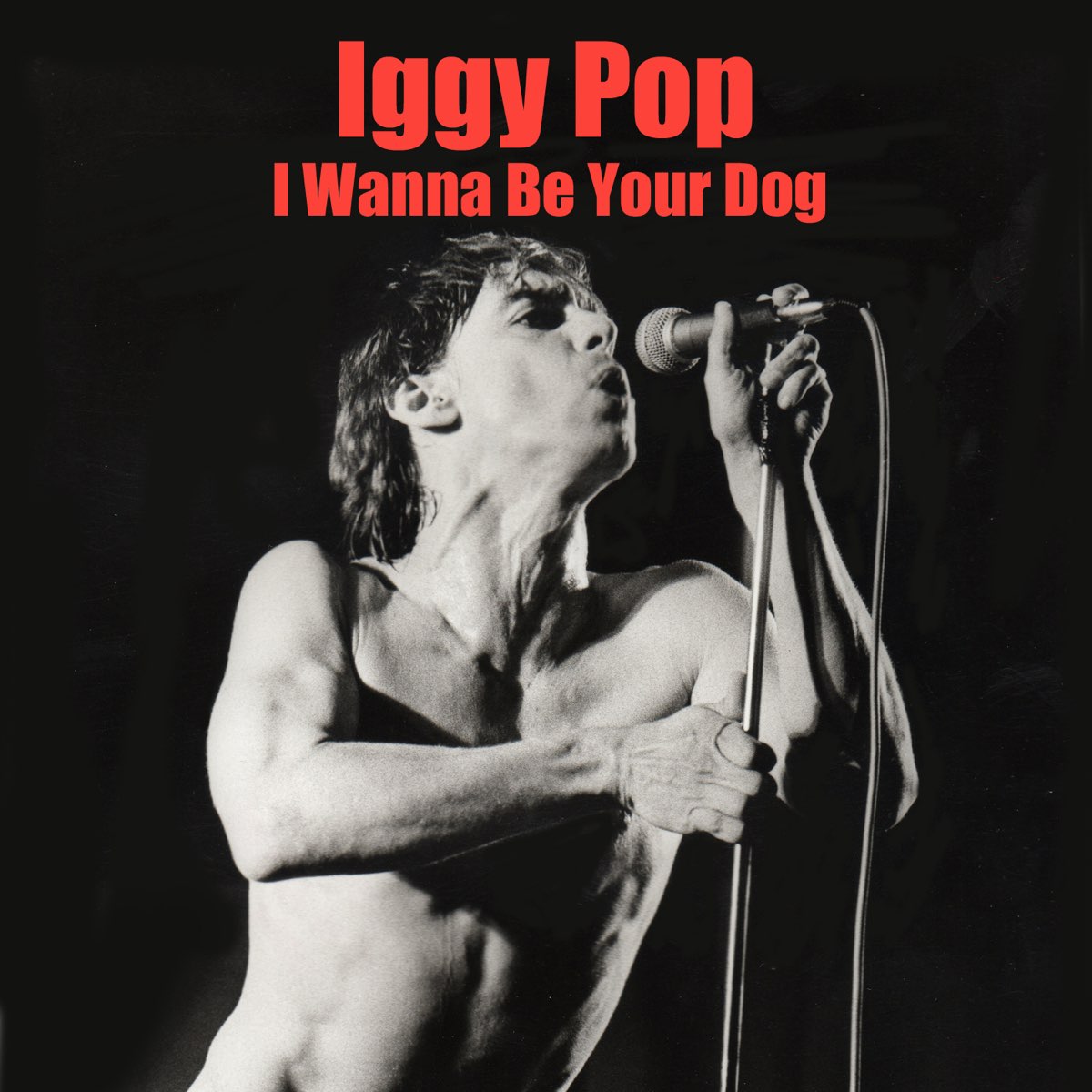 Игги поп слушать машина. The stooges Iggy Pop i wanna be your Dog Круэлла. I wanna be your Dog Игги поп обложка. Iggy Pop stooges. Iggy Pop 1977.