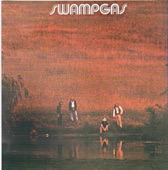 Swampgas