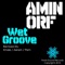Wet Groove (PBM Remix) - Amin Orf lyrics