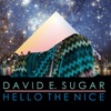 David E. Sugar - Party Killer