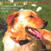 Classical Music for You and Your Dog - A Day in the Life of Lucky