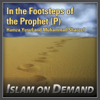 In the Footsteps of the Prophet (P): Peace In Troubled Times (3 Lectures) - Hamza Yusuf