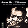 Sonny Boy Williamson II & Sonny Boy Williamson - Crazy 'bout That Mess