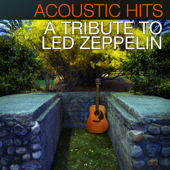 Acoustic Hits - A Tribute To Led Zeppelin - Lacey & Sara