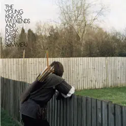 Weekends and Bleak Days (Hot Summer) - Single - Young Knives