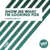 Show Me What I'm Looking For (Pop Radio Mix) song lyrics